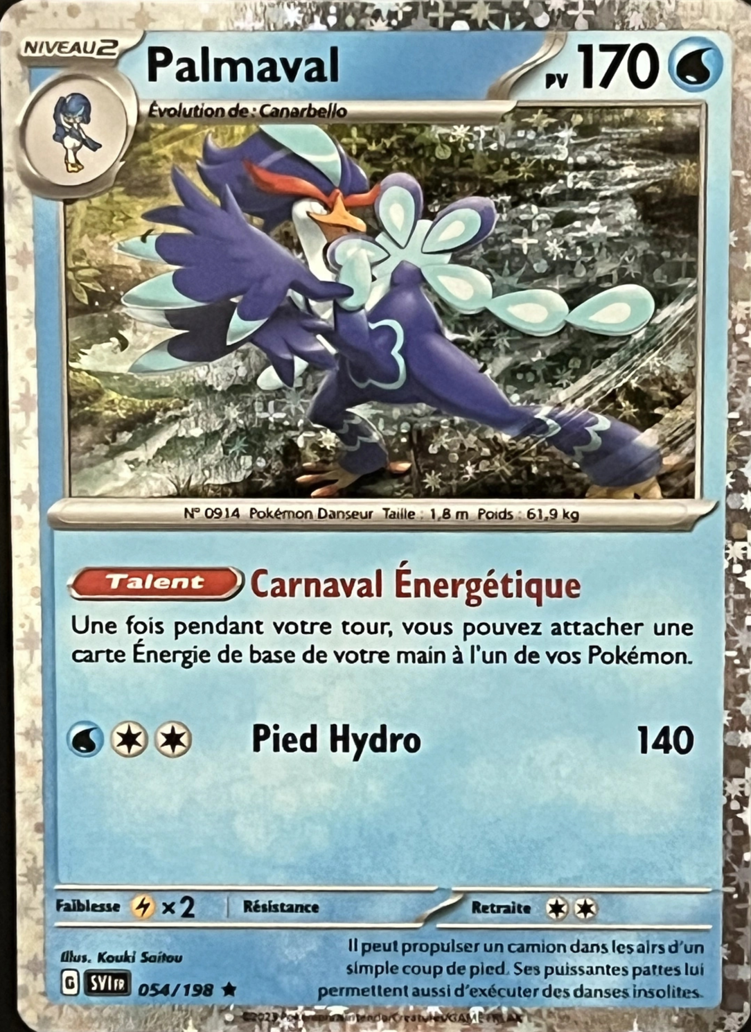 Palmaval Holo